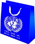 China Customized Kraft Paper Bags