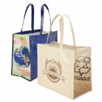 China Custom Eco Laminated Shopping Bags